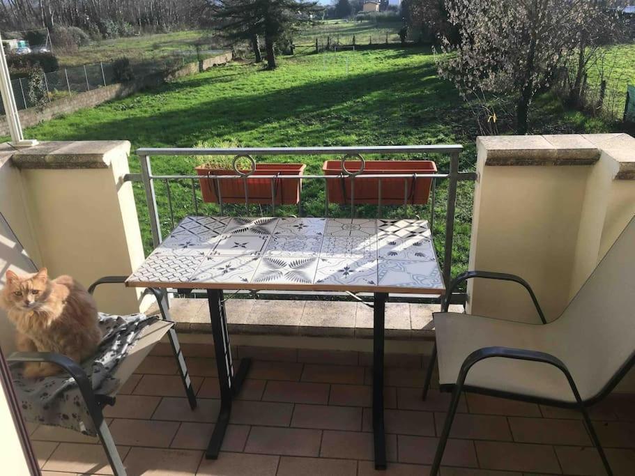 Piccolo Borgo Daire Lucca Dış mekan fotoğraf
